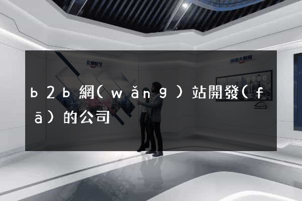 b2b網(wǎng)站開發(fā)的公司