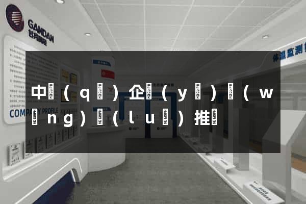 中區(qū)企業(yè)網(wǎng)絡(luò)推廣