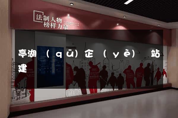 亭湖區(qū)企業(yè)網站建設