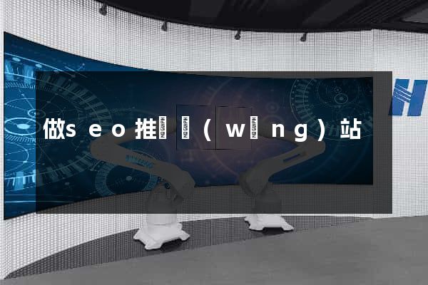 做seo推廣網(wǎng)站
