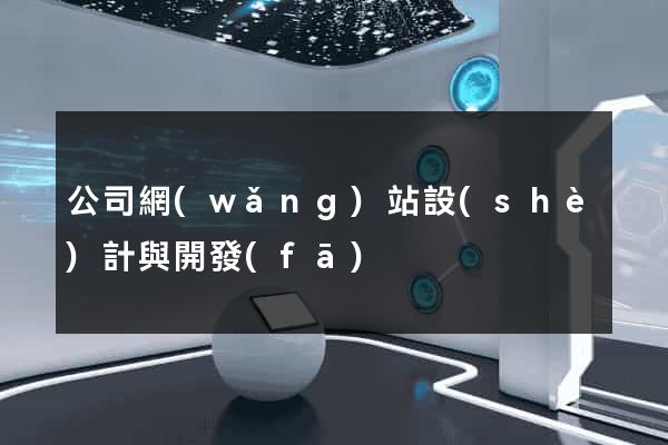 公司網(wǎng)站設(shè)計與開發(fā)