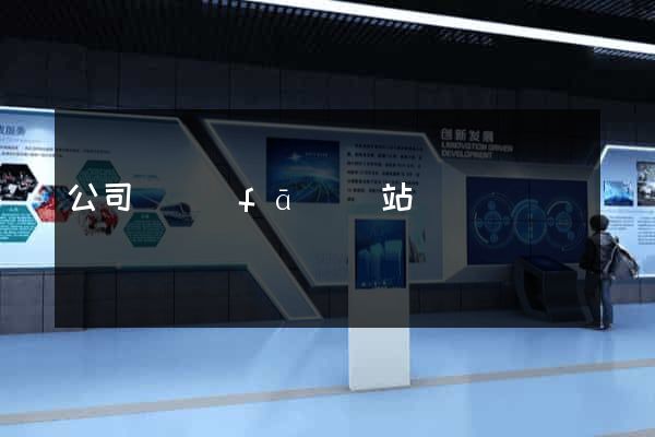 公司開發(fā)網站