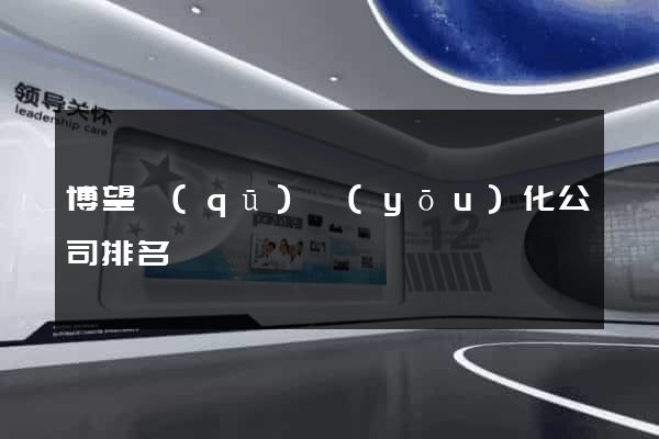 博望區(qū)優(yōu)化公司排名