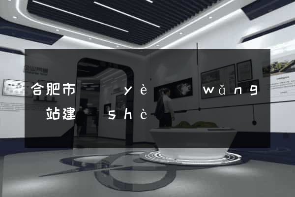 合肥市專業(yè)網(wǎng)站建設(shè)