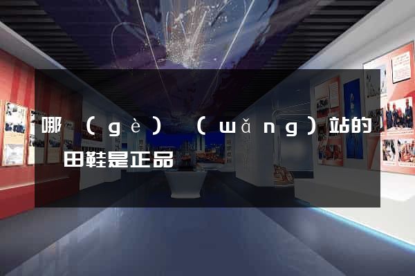 哪個(gè)網(wǎng)站的莆田鞋是正品