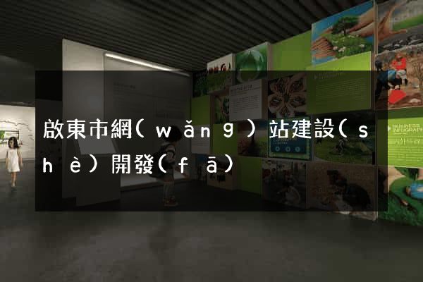 啟東市網(wǎng)站建設(shè)開發(fā)