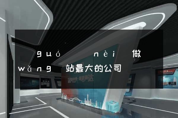 國(guó)內(nèi)做網(wǎng)站最大的公司