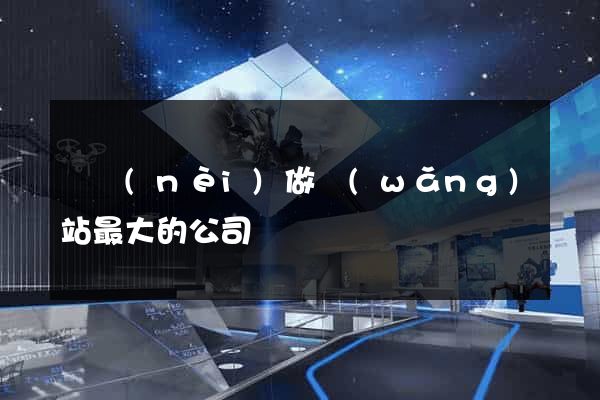 國內(nèi)做網(wǎng)站最大的公司