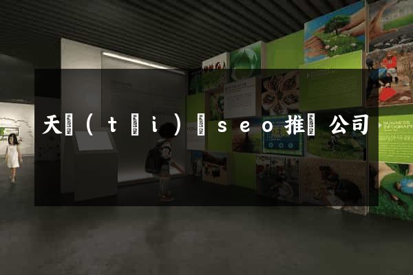 天臺(tái)縣seo推廣公司