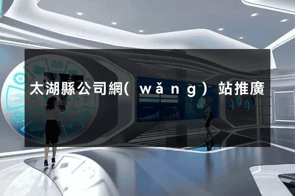 太湖縣公司網(wǎng)站推廣