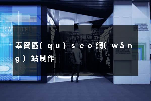 奉賢區(qū)seo網(wǎng)站制作