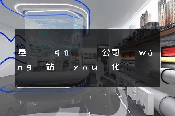 奉賢區(qū)設計公司網(wǎng)站優(yōu)化