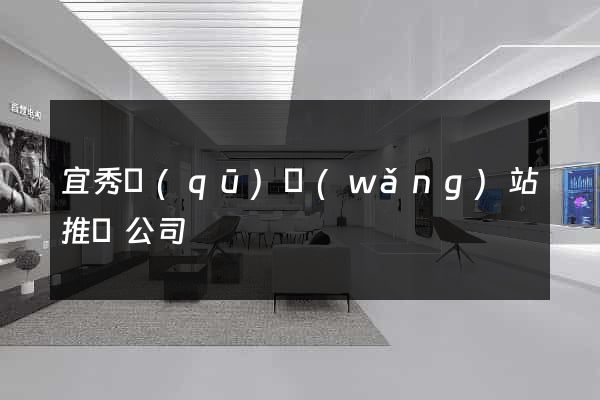 宜秀區(qū)網(wǎng)站推廣公司