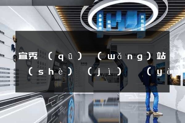 宜秀區(qū)網(wǎng)站設(shè)計(jì)專業(yè)的公司