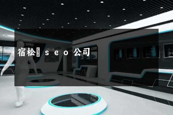 宿松縣seo公司