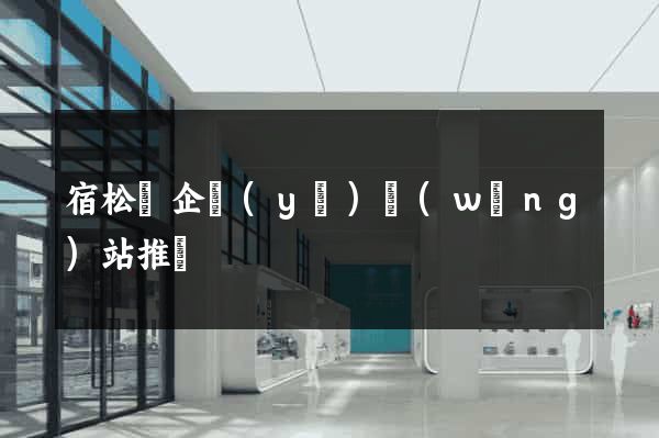 宿松縣企業(yè)網(wǎng)站推廣