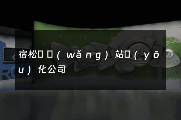 宿松縣網(wǎng)站優(yōu)化公司