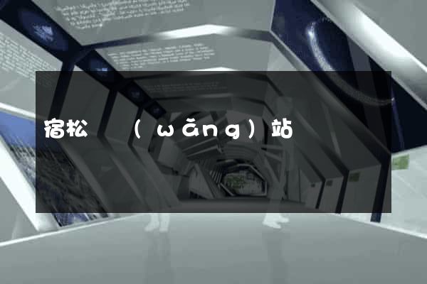 宿松縣網(wǎng)站營銷