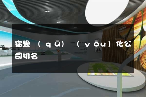 宿豫區(qū)優(yōu)化公司排名