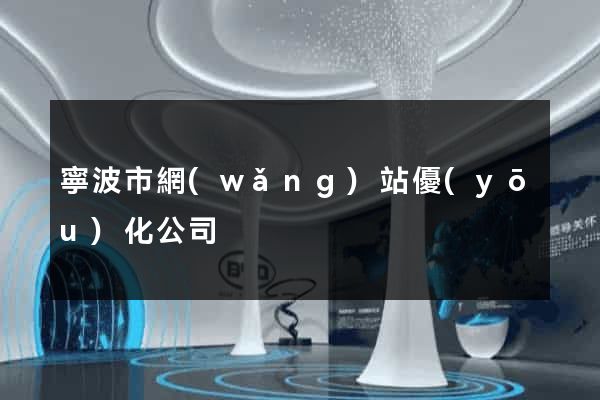 寧波市網(wǎng)站優(yōu)化公司