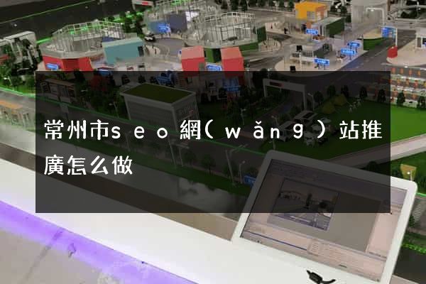 常州市seo網(wǎng)站推廣怎么做