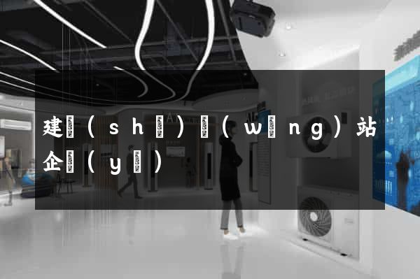 建設(shè)網(wǎng)站企業(yè)