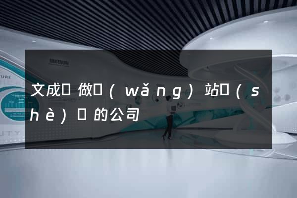 文成縣做網(wǎng)站設(shè)計的公司
