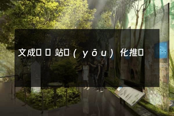 文成縣網站優(yōu)化推廣