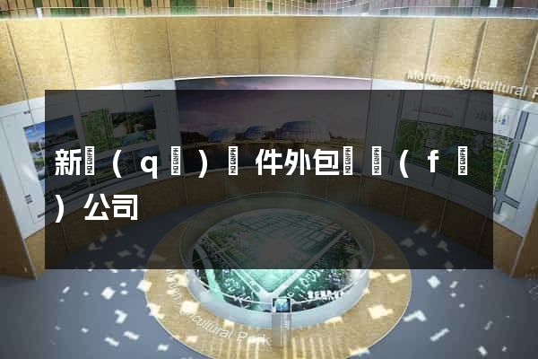 新區(qū)軟件外包開發(fā)公司