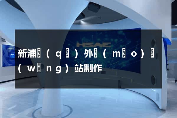 新浦區(qū)外貿(mào)網(wǎng)站制作