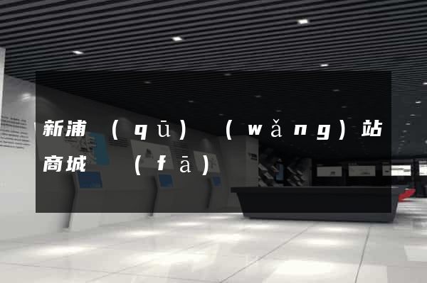 新浦區(qū)網(wǎng)站商城開發(fā)