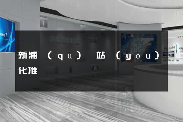新浦區(qū)網站優(yōu)化推廣