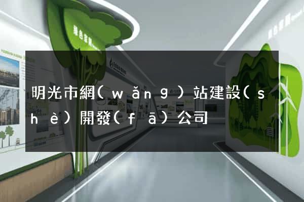 明光市網(wǎng)站建設(shè)開發(fā)公司