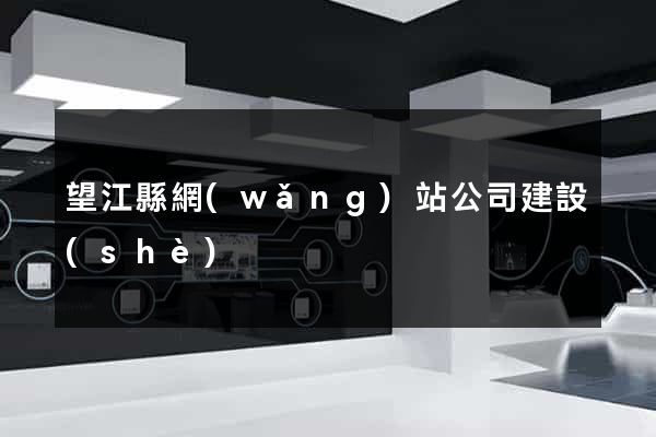 望江縣網(wǎng)站公司建設(shè)
