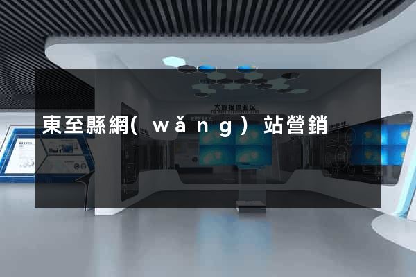 東至縣網(wǎng)站營銷