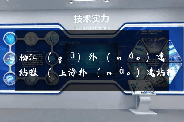松江區(qū)外貿(mào)建站推廣(上海外貿(mào)建站推廣公司)