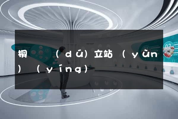 桐廬縣獨(dú)立站運(yùn)營(yíng)