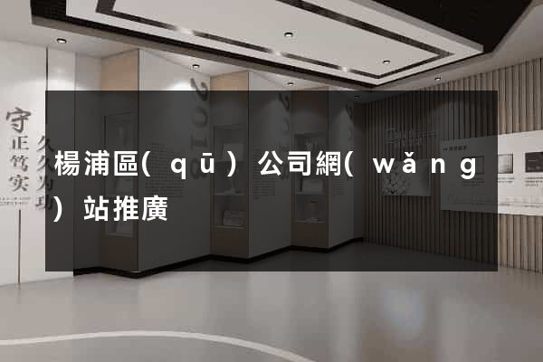 楊浦區(qū)公司網(wǎng)站推廣