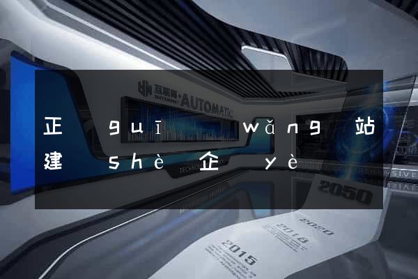 正規(guī)網(wǎng)站建設(shè)企業(yè)