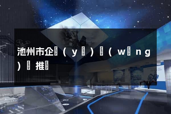 池州市企業(yè)網(wǎng)絡推廣