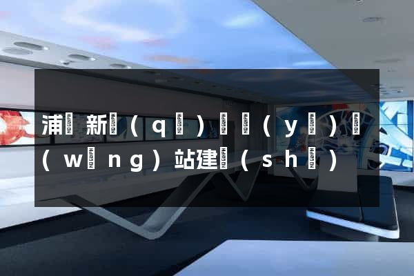 浦東新區(qū)專業(yè)網(wǎng)站建設(shè)