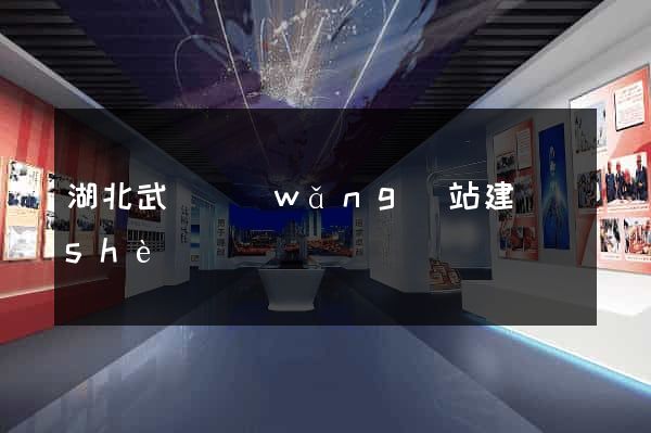 湖北武漢網(wǎng)站建設(shè)