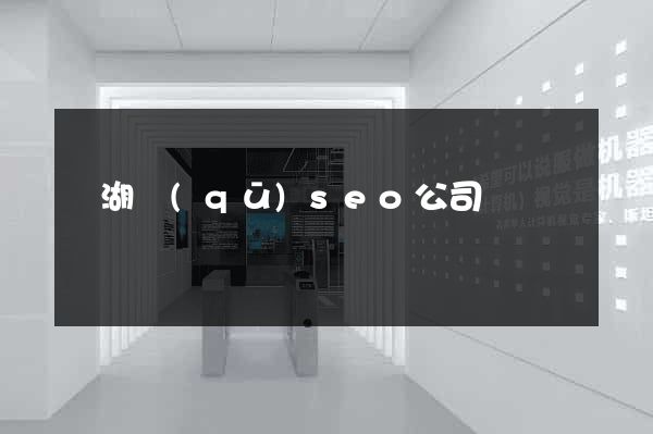 濱湖區(qū)seo公司