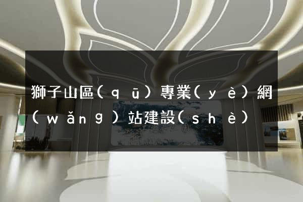 獅子山區(qū)專業(yè)網(wǎng)站建設(shè)