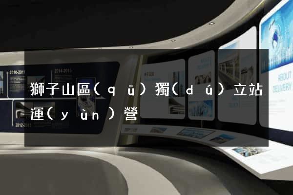 獅子山區(qū)獨(dú)立站運(yùn)營