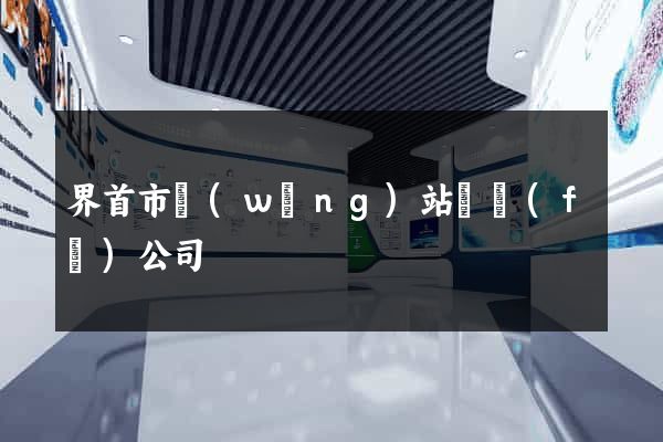 界首市網(wǎng)站開發(fā)公司