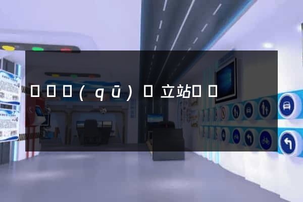 盧灣區(qū)獨立站運營