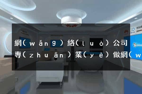 網(wǎng)絡(luò)公司專(zhuān)業(yè)做網(wǎng)站