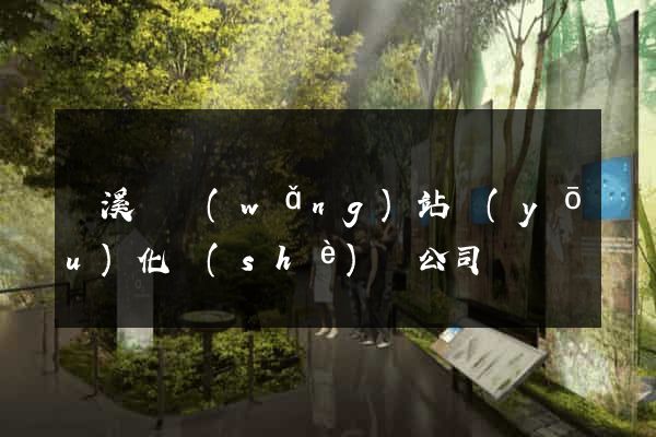 績溪縣網(wǎng)站優(yōu)化設(shè)計公司