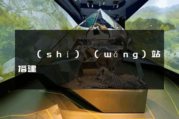 臨時(shí)網(wǎng)站搭建